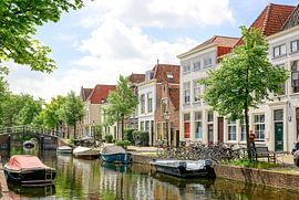 Schönes Leiden von Dirk van Egmond