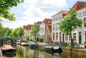 Schönes Leiden