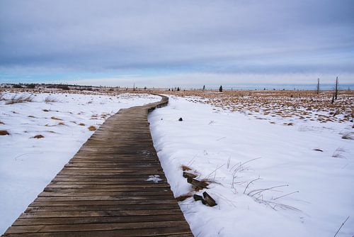 het wandelpad in de winter