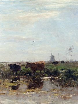 Cows at a fens with water lilies