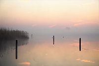 Ochtendnevel over het water