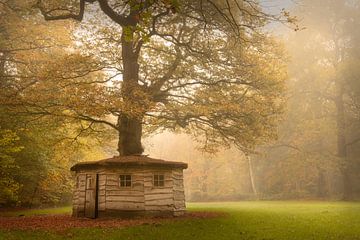 Herbst auf dem Landgut Fraeylemaborg von KB Design & Photography (Karen Brouwer)