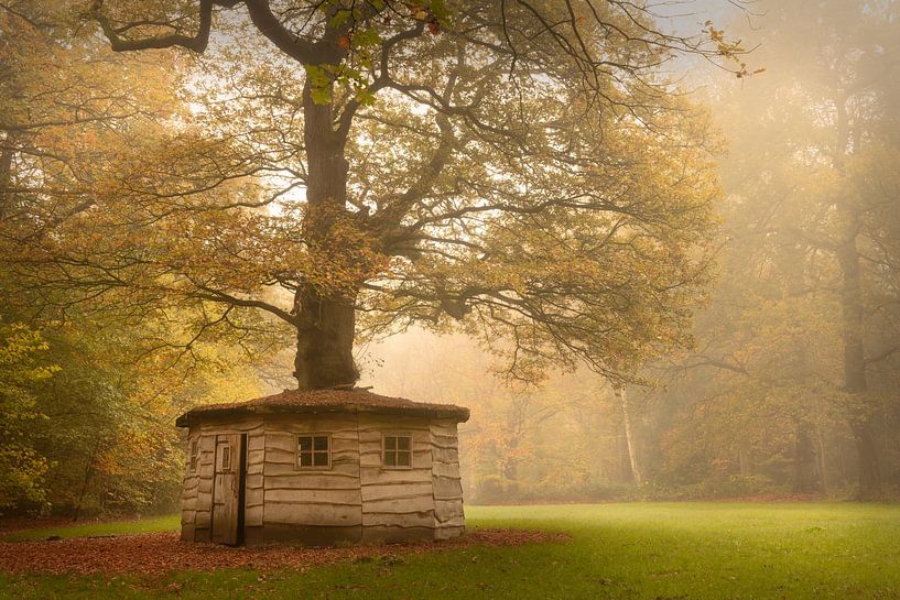 Autumn on the Fraeylemaborg estate by KB Design & Photography (Karen Brouwer)