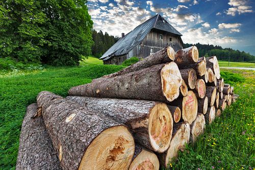 Wood stack