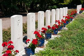 Brits en gemenebest graven Nieuw Dordrecht