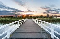 Kinderdijk par Luc Buthker Aperçu