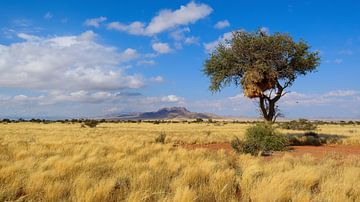 De uitgestrektheid van Namibië van Denis Feiner