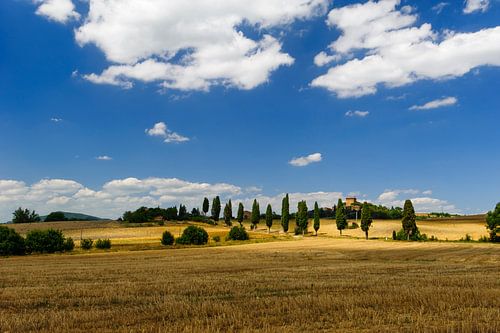 Cipressenlaan en kasteel - Toscane - Italie