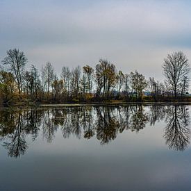 See bei Bad Radkersburg von Karin Maier
