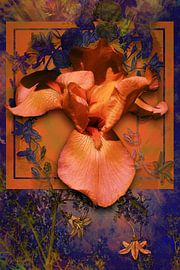 Big orange Iris with blossom by Helga Blanke