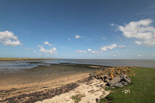 Ameland/Kooikersdunen