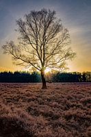Zonsopkomst Wekeromse Zand in Nederland
