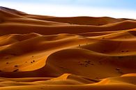 Wandelaars in de woestijn van Sam Mannaerts thumbnail