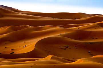 Wandelaars in de woestijn