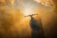 Forest fire, Italy - 03