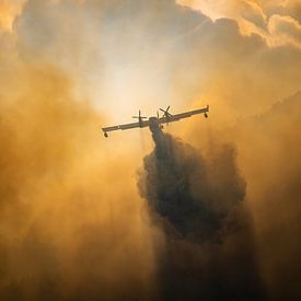 Incendie de forêt, Italie - 03 sur Jorn Wilms