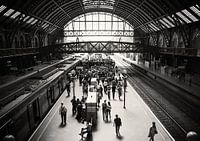 Station of Light