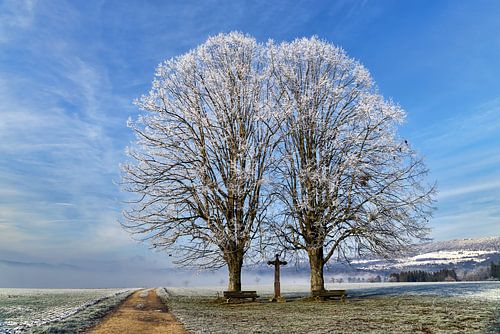De twee met het kruis