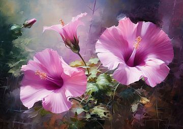 Lavatera van I ❤ Bloemen