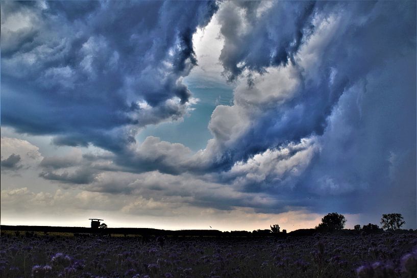 Storm front by Ramona Peter