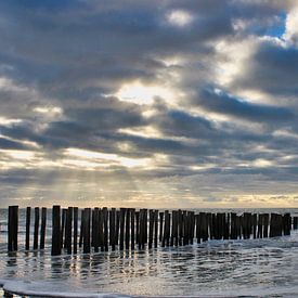 Paalhoofden Vlissingen van Sarineke