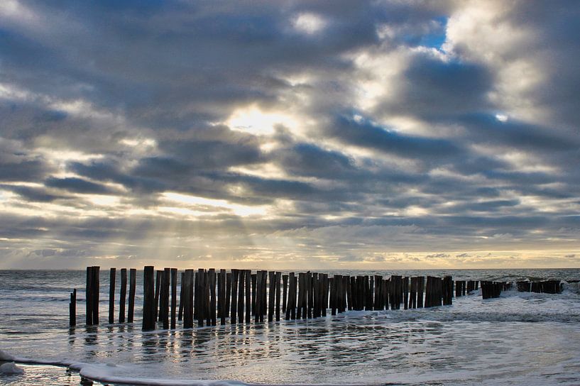 Pile heads Vlissingen by Sarineke Daane