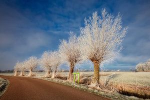 le polder hollandais en hiver sur eric van der eijk