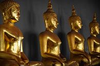 Golden Buddha's, Buddha in Ayutthaya, Thailand by Karsten Glasbergen thumbnail
