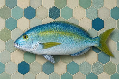 Tile-o-fish