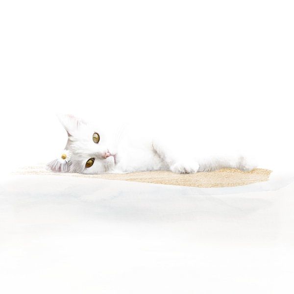 Daisy by Studio Nooks
