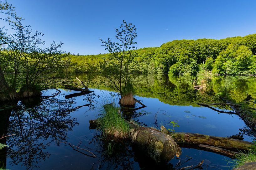 Herthasee, Jasmunder Nationalpark, Insel Rügen von GH Foto & Artdesign