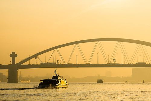Van Brienenoordbrug bij zonsopkomst met de Waterbus