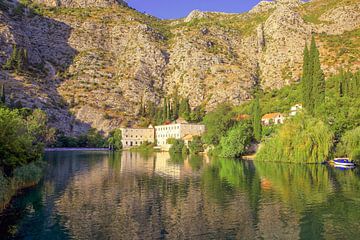 Rožat Kroatië van Patrick Lohmüller