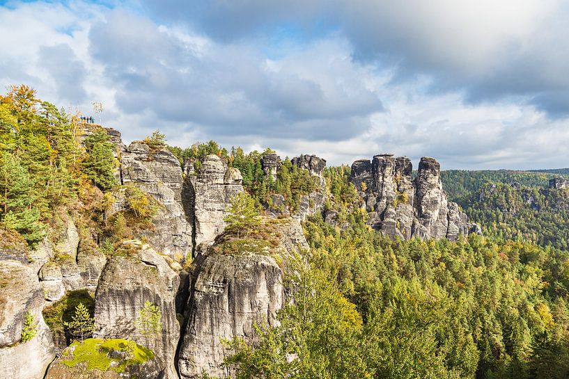 View of rocks and trees in Saxon Switzerland by Rico Ködder