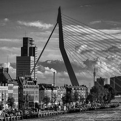 Erasmus Bridge