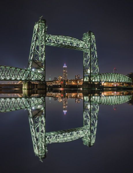 De Hef met de Zalmhaventoren van Karin de Bruin