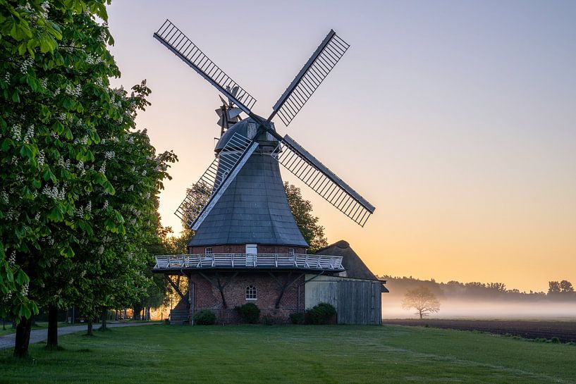 Mühle Amanda, Stade, Basse-Saxe, Allemagne par Alexander Ludwig
