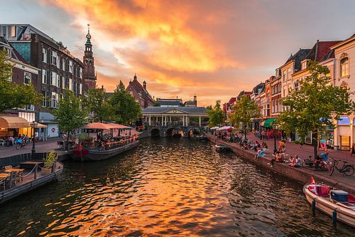 Leiden - Sunset near the Koornbrug bridge (0055)