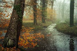 Go with the flow by Martin Podt