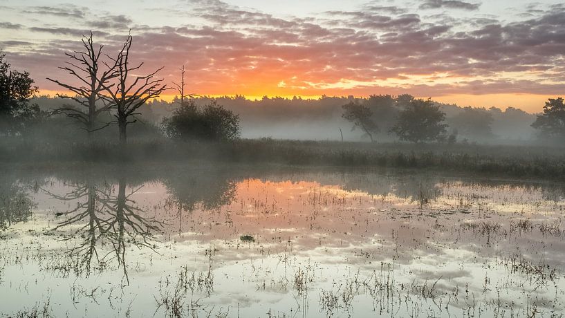 Reflexie zonopkomst van Jan Linskens