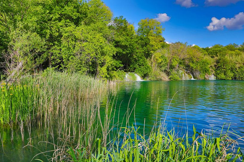 Krka National Park by Dieter Fischer