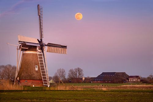 Molen De Meervogel