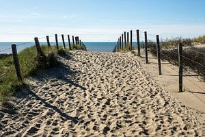 Naar het strand von Michel van Kooten