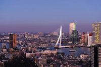 Skyline of Rotterdam in evening light