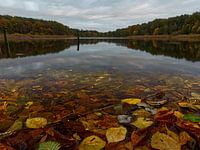 Lake Dabelow in autumn in Mecklenburg