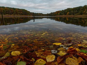 Het Dabelowermeer in de herfst in Mecklenburg van Wolfgang Unger