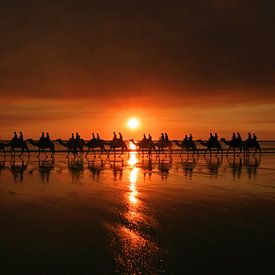 Kamelenrit tijdens zonsondergang van Antwan Janssen