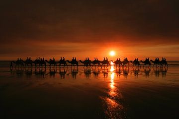 Kamelenrit tijdens zonsondergang van Antwan Janssen