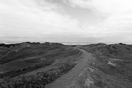 Photos de l'île de Langeoog, située en Frise orientale, dans la mer du Nord. sur Bianca Meyering Fotos - BMF