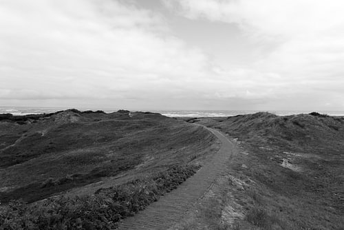 Foto's van het Oost-Friese Noordzee-eiland Langeoog.